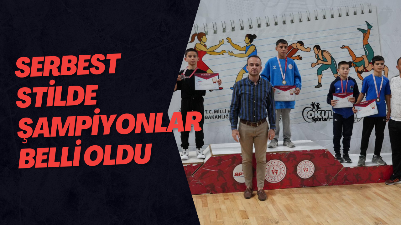 Güreş Serbest Stil Türkiye Birinciliği Sona Erdi