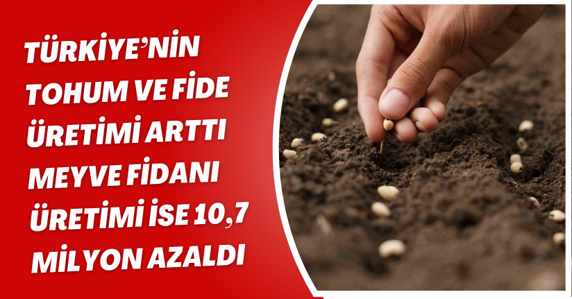 Türkiye’nin tohum ve fide üretimi arttı meyve fidanı üretimi ise 10,7 milyon azaldı