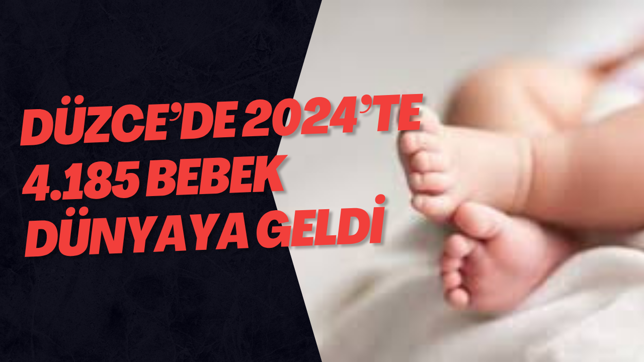 Düzce’de 2024’te 4.185 Bebek Dünyaya Geldi