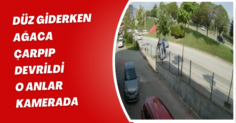 Düz giderken ağaca çarpıp devrildi: O anlar kamerada