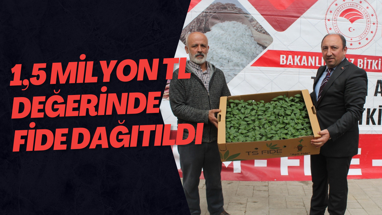 1,5 Milyon TL Değerinde Fide Dağıtıldı