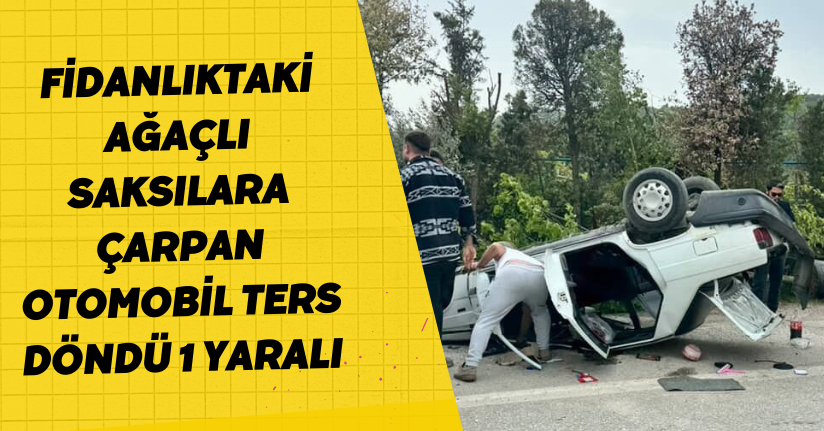 Fidanlıktaki ağaçlı saksılara çarpan otomobil ters döndü: 1 yaralı