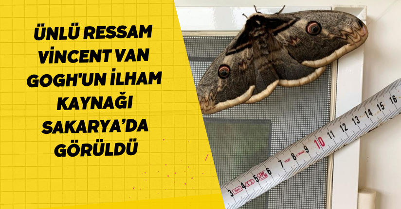  Ünlü ressam Vincent Van Gogh'un ilham kaynağı Sakarya’da görüldü