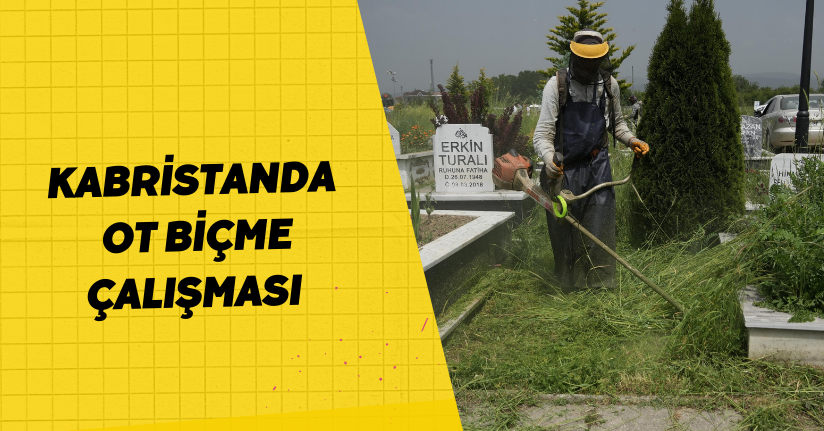 Kabristanda Ot Biçme Çalışması
