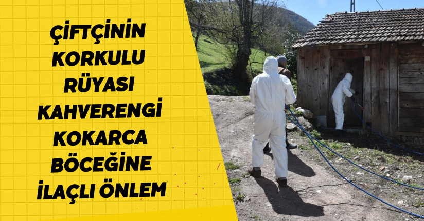  Çiftçinin korkulu rüyası kahverengi kokarca böceğine ilaçlı önlem
