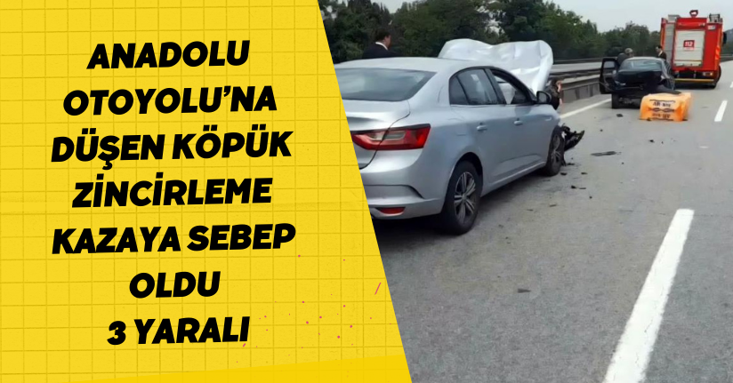 Anadolu Otoyolu’na düşen köpük zincirleme kazaya sebep oldu: 3 yaralı