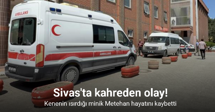 Kenenin ısırdığı minik Metehan hayatını kaybetti
