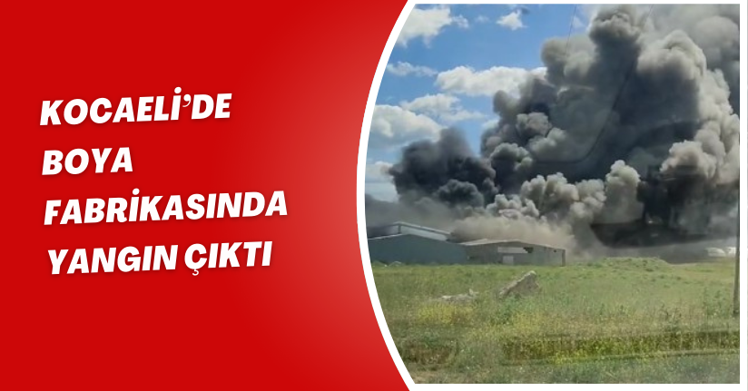 Kocaeli’de boya fabrikasında yangın çıktı