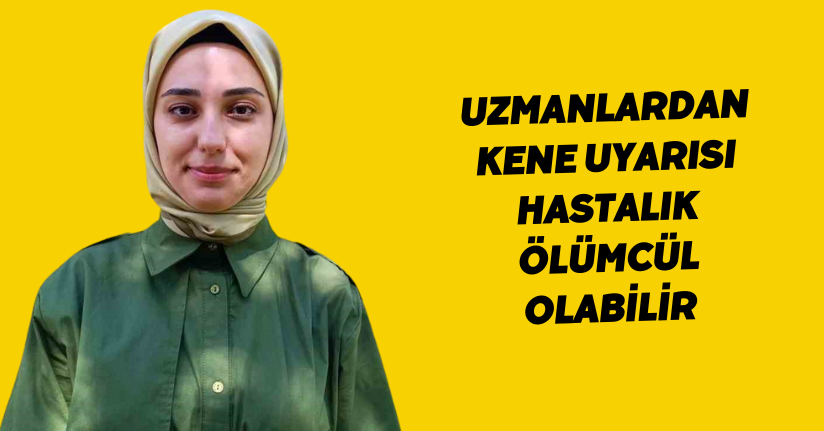 Uzmanlardan kene uyarısı: 