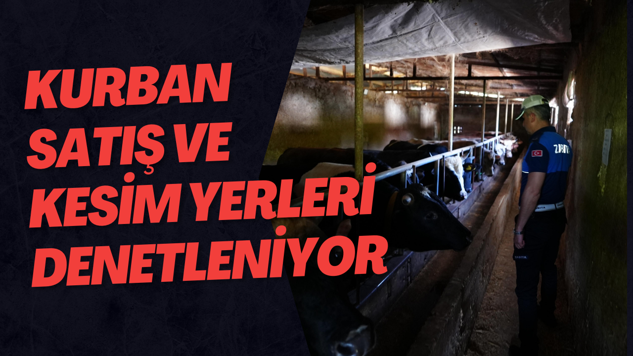 Kurban Satış Ve Kesim Yerleri Denetleniyor