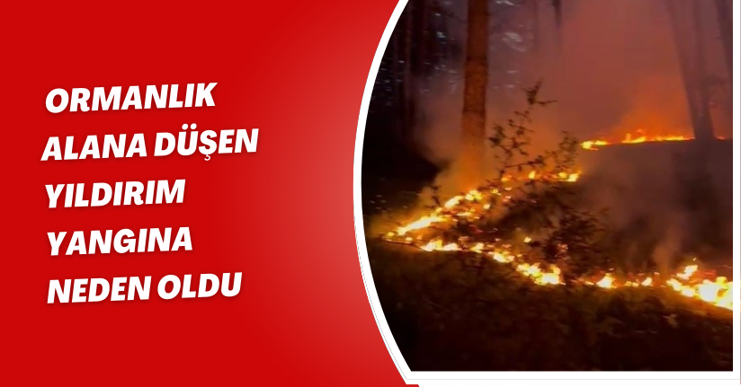 Ormanlık alana düşen yıldırım yangına neden oldu