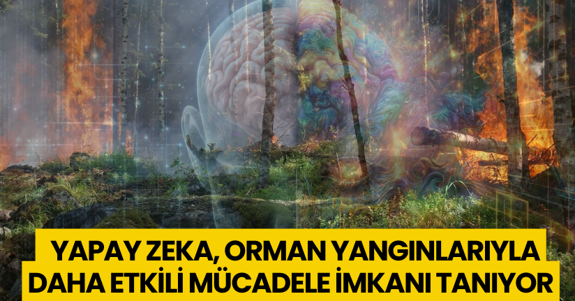  Yapay zeka, orman yangınlarıyla daha etkili mücadele imkanı tanıyor