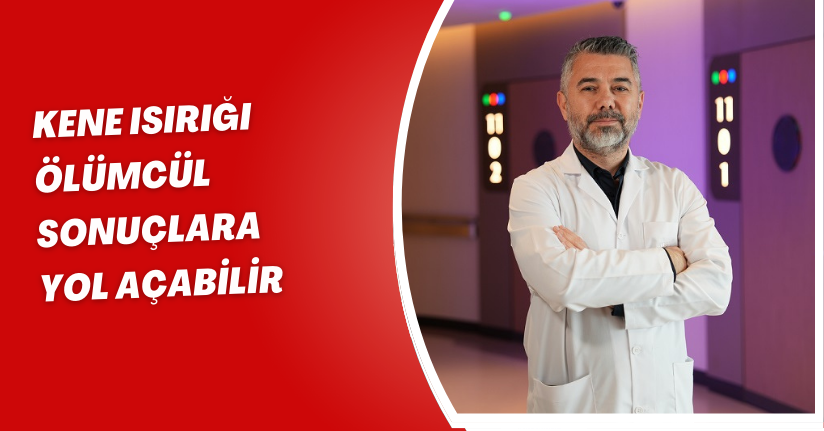 Kene ısırığı ölümcül sonuçlara yol açabilir