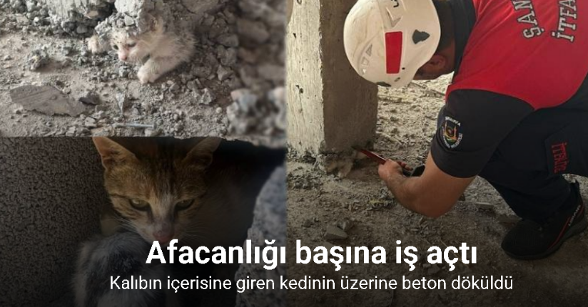 Şanlıurfa’da akıl almaz olay