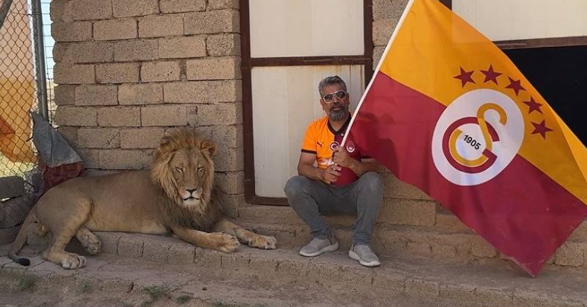 Galatasaraylı taraftar, şampiyonluğu aslanlarıyla kutladı