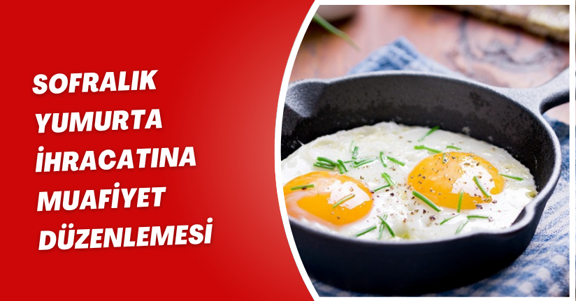 Sofralık yumurta ihracatına muafiyet düzenlemesi