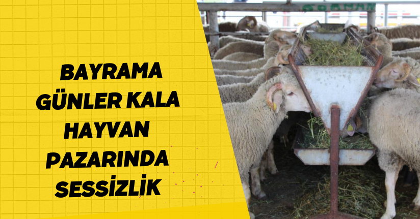 Bayrama günler kala hayvan pazarında sessizlik