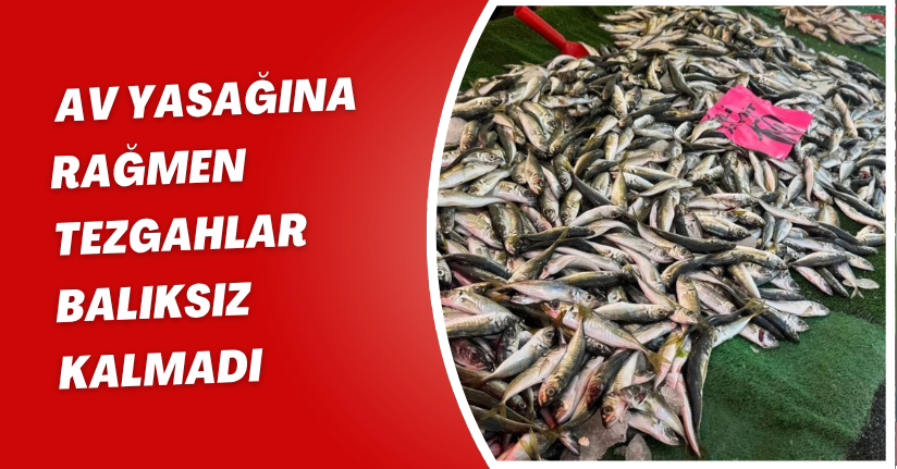 Av yasağına rağmen tezgahlar balıksız kalmadı