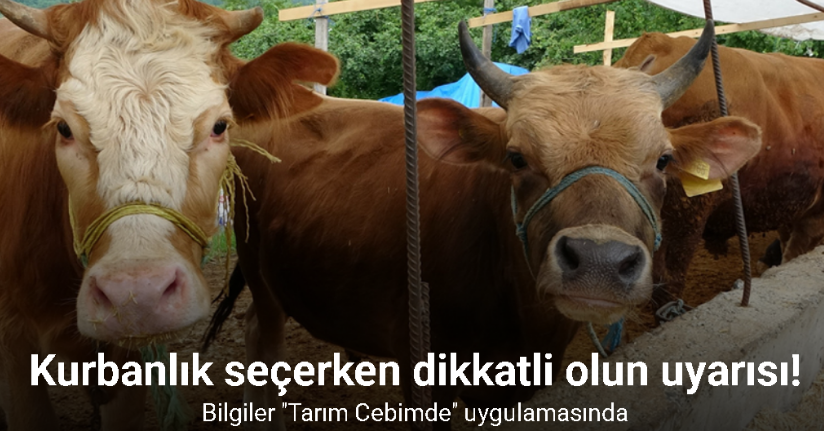 Kurbanlık seçerken dikkatli olun uyarısı