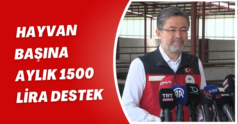 Hayvan başına aylık 1500 lira destek