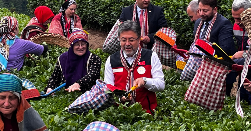 Bakan Yumaklı: İklim değişikliğinin çayda korktuğumuz etkisi olmadı