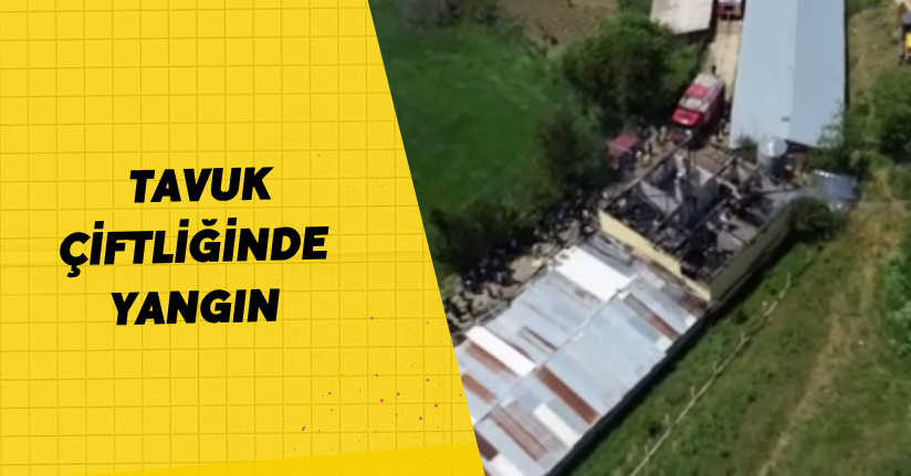 Tavuk çiftliğinde yangın