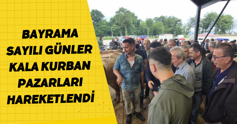 Bayrama sayılı günler kala kurban pazarları hareketlendi