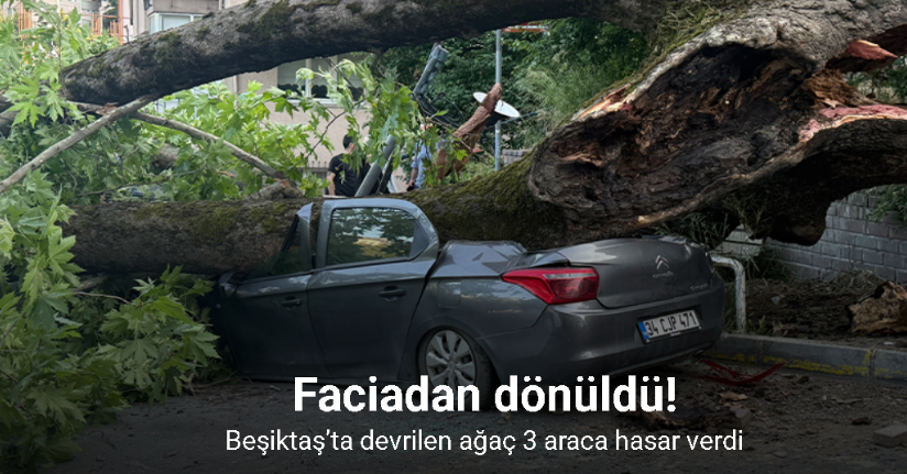 Beşiktaş’ta devrilen ağaç 3 araca hasar verdi