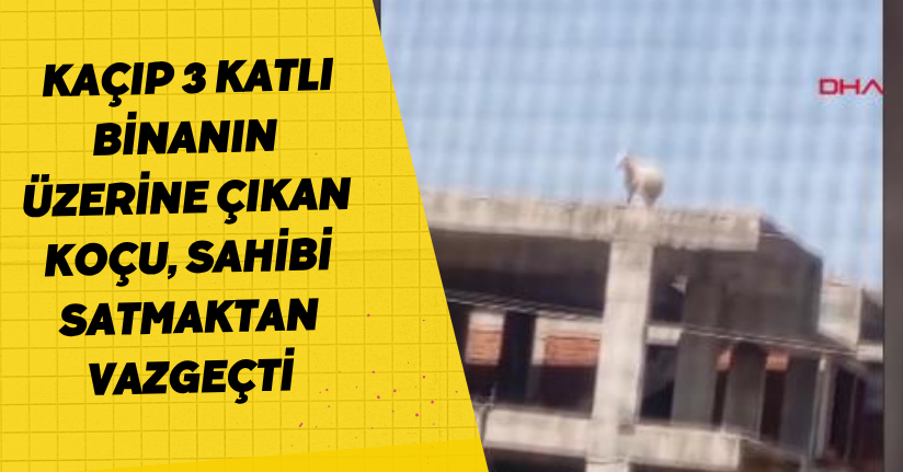 Heimlich Manevrasıyla Hayata DöndürdüHeimlich Manevrasıyla Hayata Döndürdü