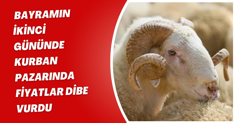 Bayramın ikinci gününde kurban pazarında fiyatlar dibe vurdu