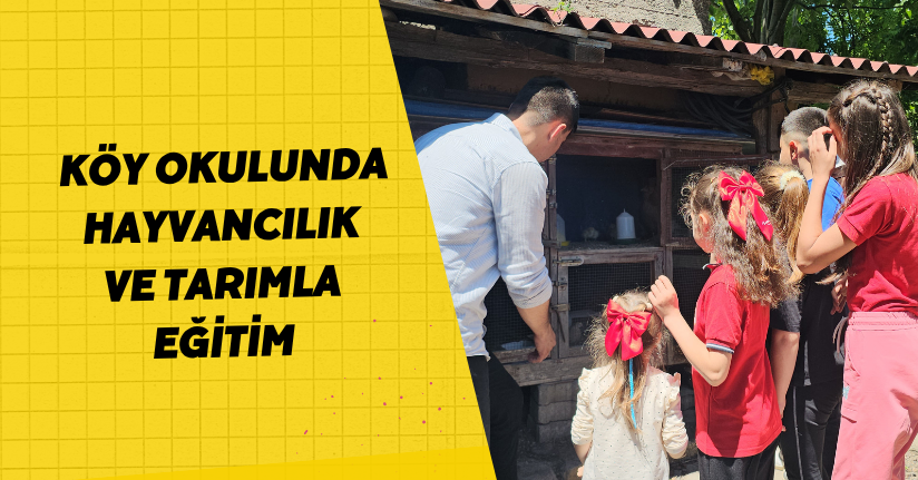 Köy okulunda hayvancılık ve tarımla eğitim