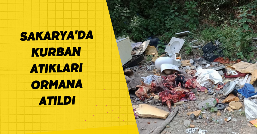 Sakarya’da kurban atıkları ormana atıldı