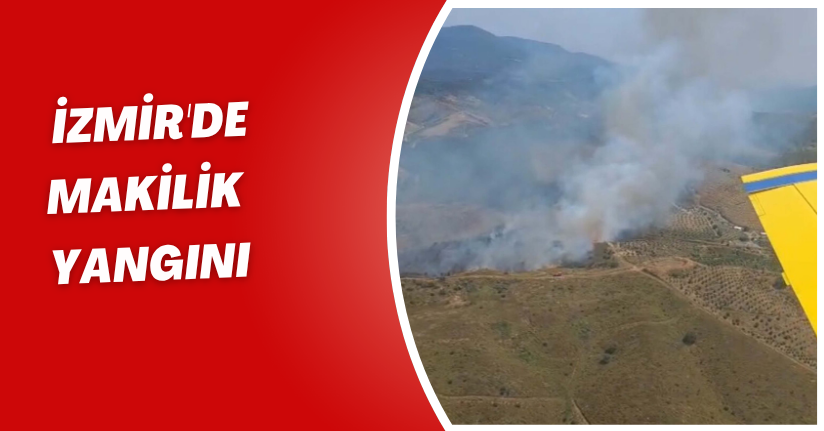 İzmir'de makilik yangını