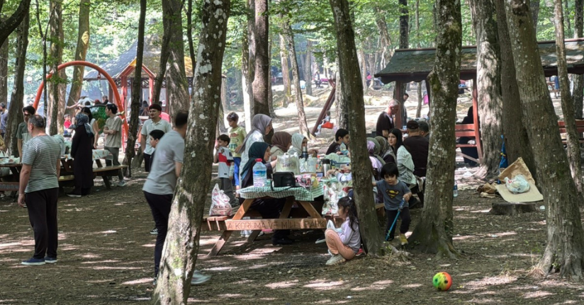 İstanbullular Kurban Bayramı’nın 2’nci gününde Belgrad Ormanı’na akın etti