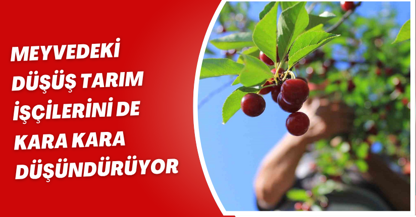 Meyvedeki düşüş tarım işçilerini de kara kara düşündürüyor