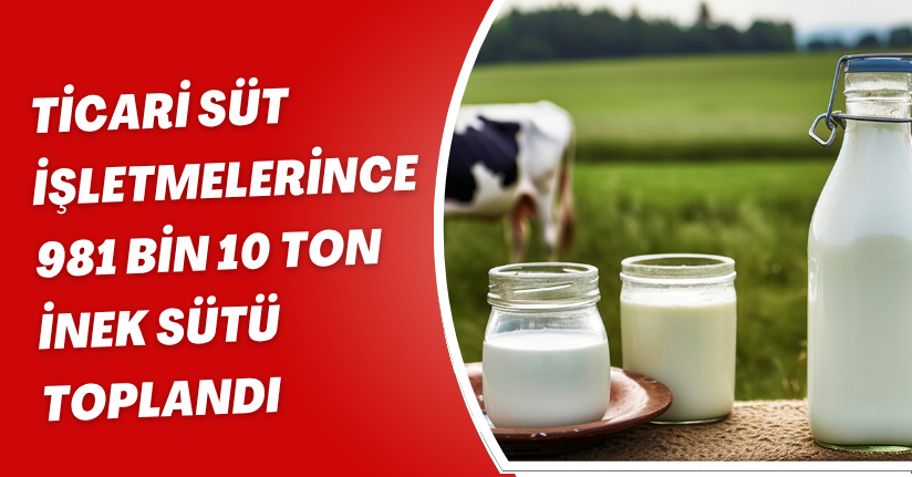 Ticari süt işletmelerince 981 bin 10 ton inek sütü toplandı