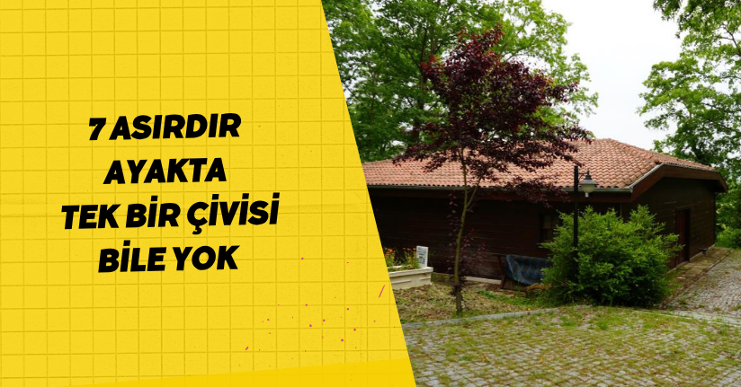 7 asırdır ayakta: Tek bir çivisi bile yok