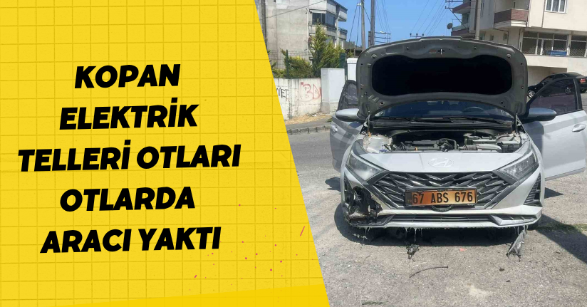 Kopan elektrik telleri otları, otlarda aracı yaktı