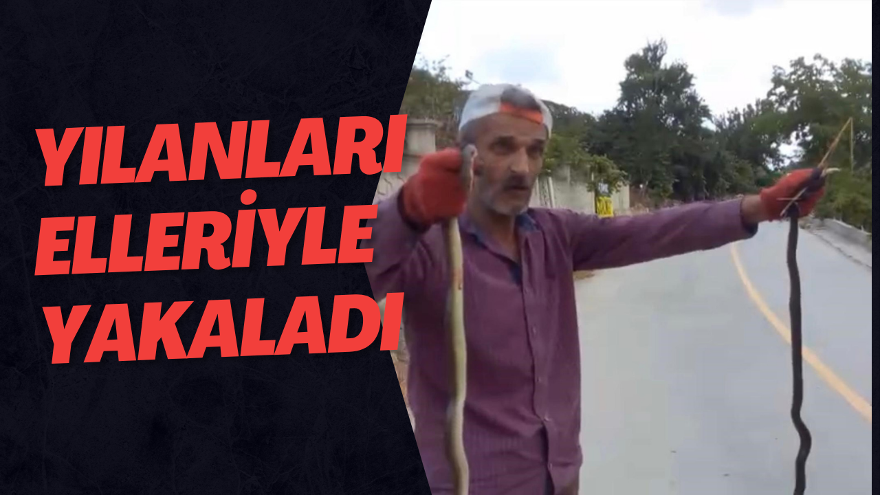 Yılanları Elleriyle Yakaladı