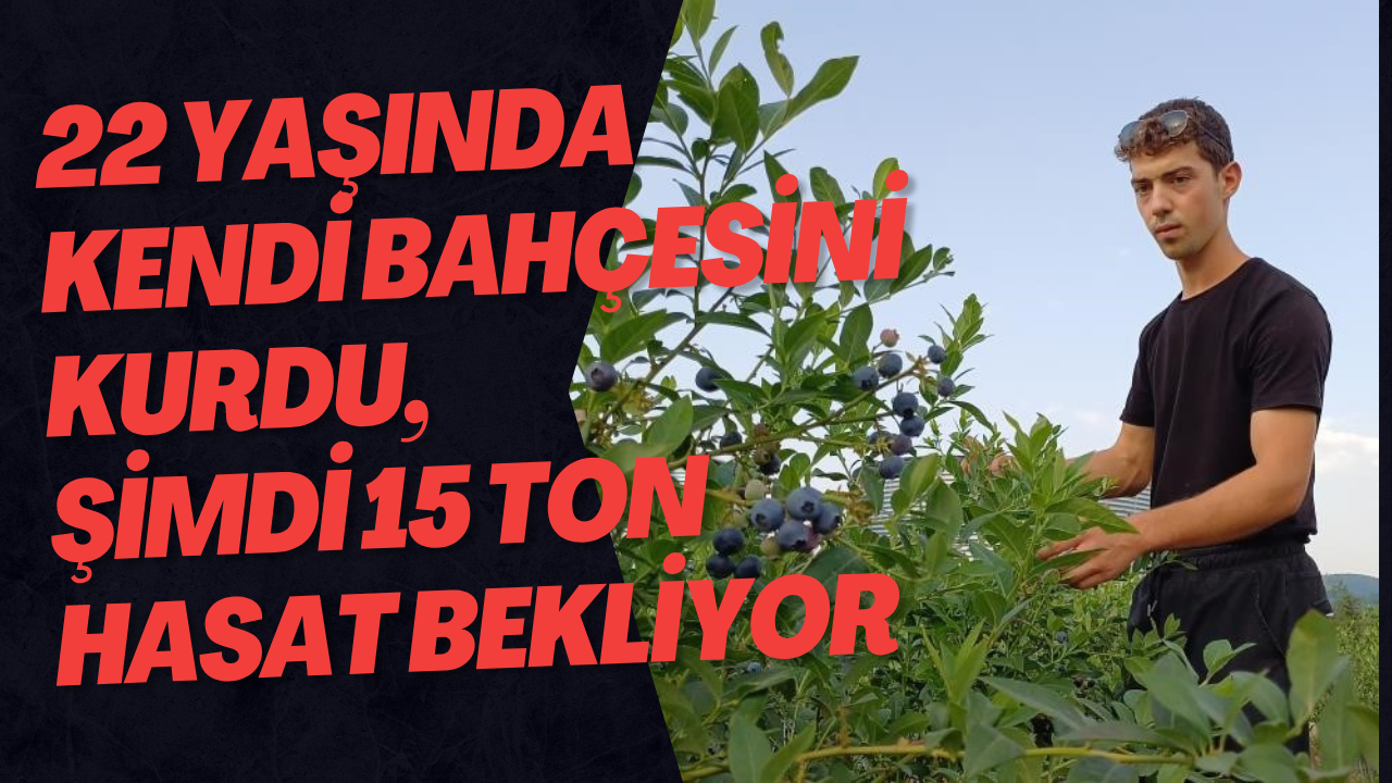 22 Yaşında Kendi Bahçesini Kurdu, Şimdi 15 Ton Hasat Bekliyor