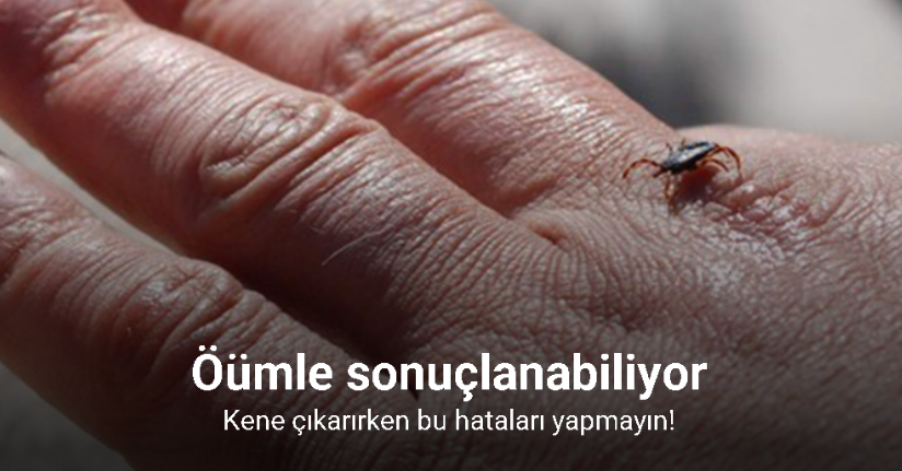 Kene çıkarırken yapılan hatalar ölümle sonuçlanabiliyor