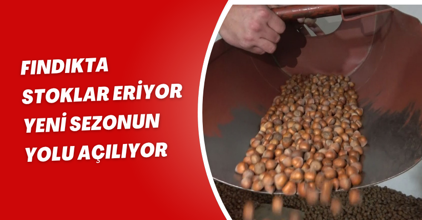 Fındıkta stoklar eriyor, yeni sezonun yolu açılıyor