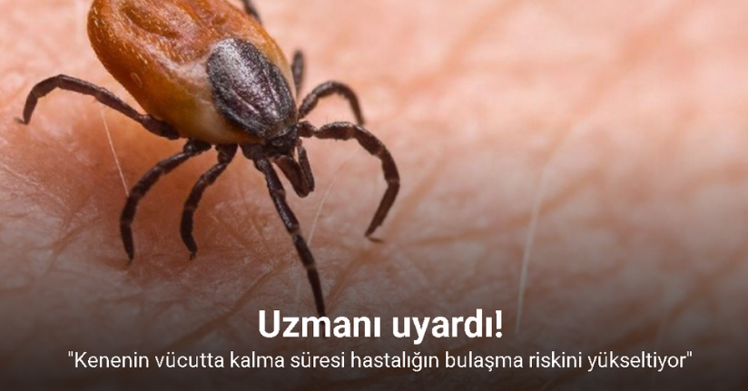 Uzmanı uyardı: