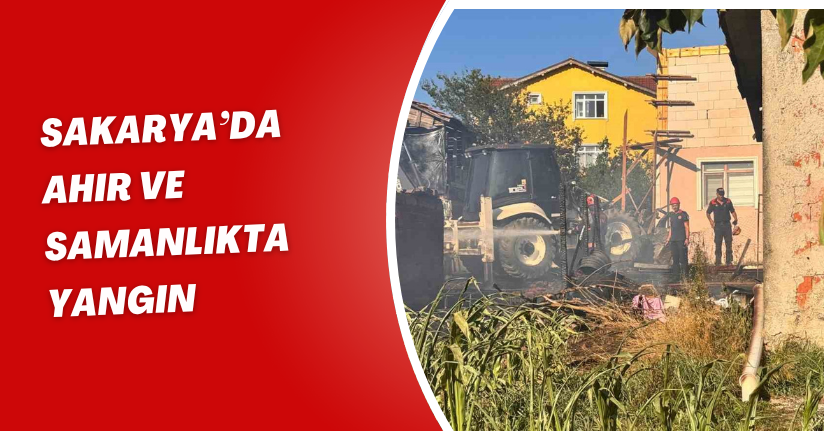 Sakarya’da ahır ve samanlıkta yangın