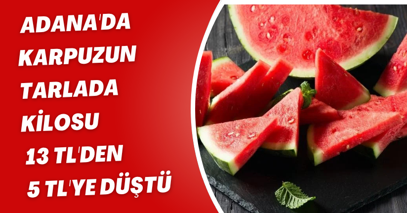 Adana'da karpuzun tarlada kilosu 13 TL'den 5 TL'ye düştü