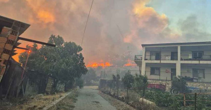 İzmir’de orman yangını kontrol altında