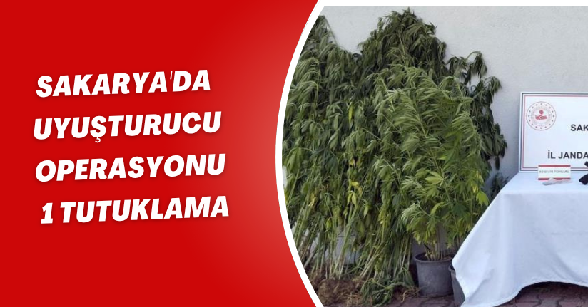 Sakarya'da uyuşturucu operasyonu: 1 tutuklama