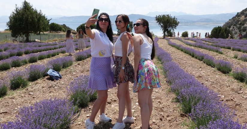 Tatil tercihinde yeni trend 'tarım turizmi'