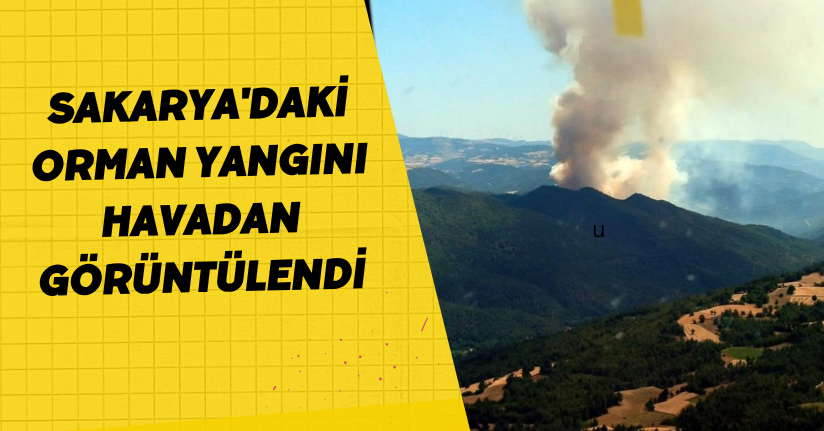 Sakarya'daki orman yangını havadan görüntülendi