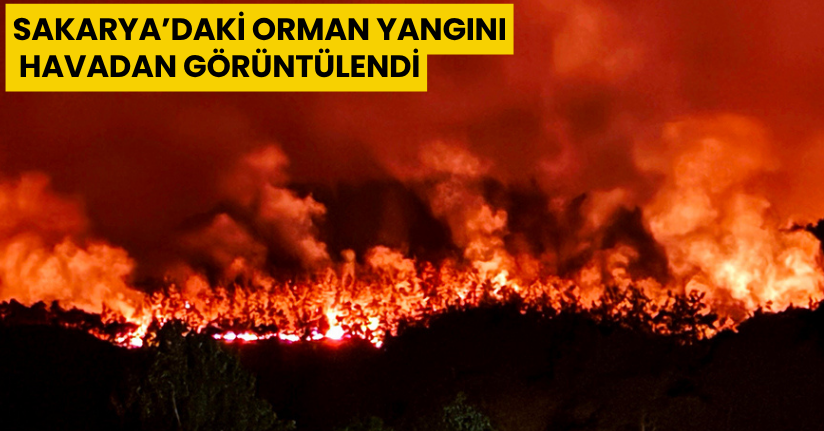 Sakarya’daki orman yangını havadan görüntülendi